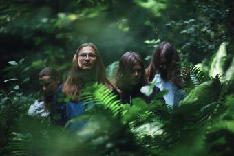 Bandbild2