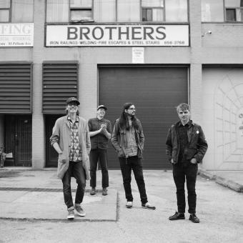 Roll 2310 12 web 72dpi