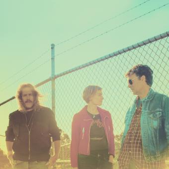Spiderbait Copyr Wilk