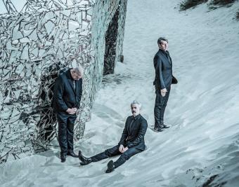 triggerfinger credit diego franssens